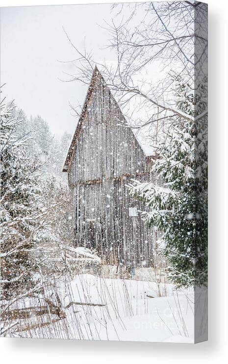 Snow Canvas Print featuring the photograph Snowing on the Farm by Cheryl Baxter