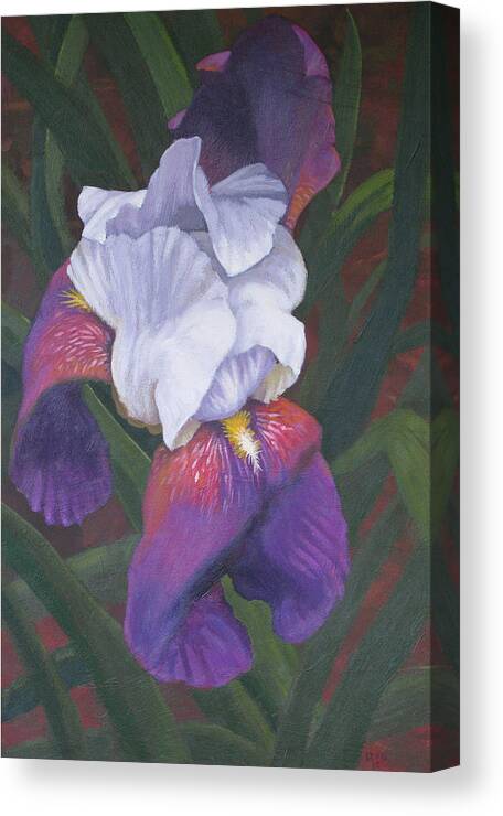 Iris Canvas Print featuring the painting Soft Violet by Don Morgan