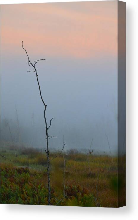 Tree Canvas Print featuring the photograph Solitary by Beth Sawickie
