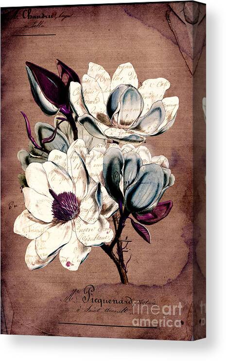 Floral Canvas Print featuring the digital art Sophisticated -02bb1d by Variance Collections