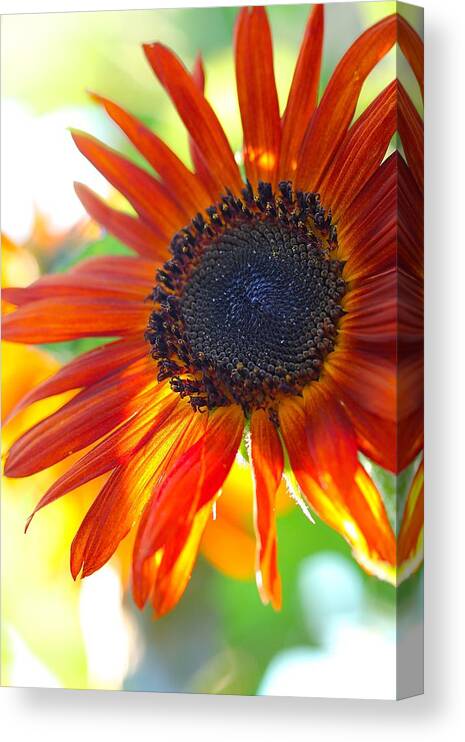 Soul Canvas Print featuring the photograph Soul On Fire by Tracy Male