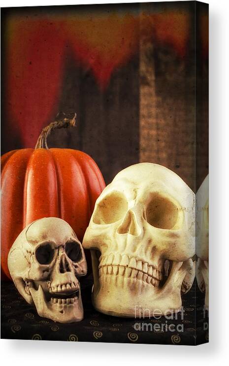 Halloween Canvas Print featuring the photograph Spooky Halloween Skulls by Edward Fielding