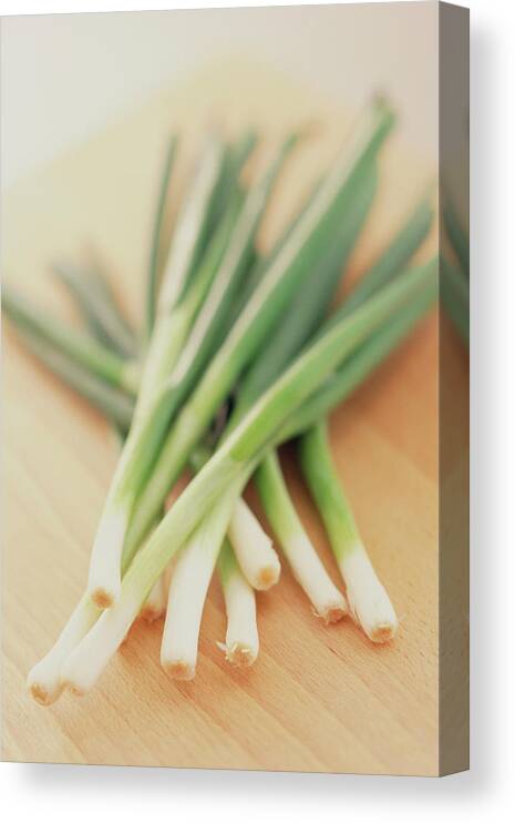 Onion Canvas Print featuring the photograph Spring Onions by William Lingwood/science Photo Library