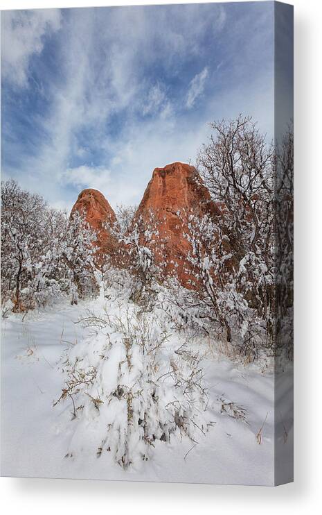 Snow Canvas Print featuring the photograph Spring Snow by Darren White