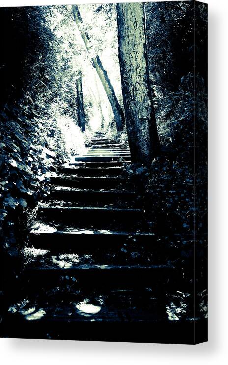B & W Canvas Print featuring the photograph Stairs Going Somewhere by Ronda Broatch