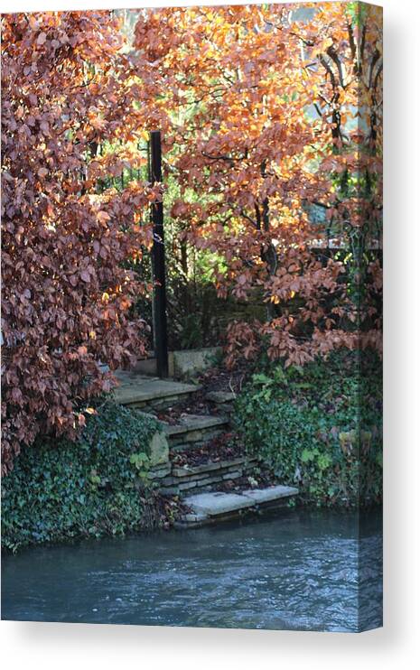 Trees Canvas Print featuring the photograph Stairway to tranquility by Denise Cicchella