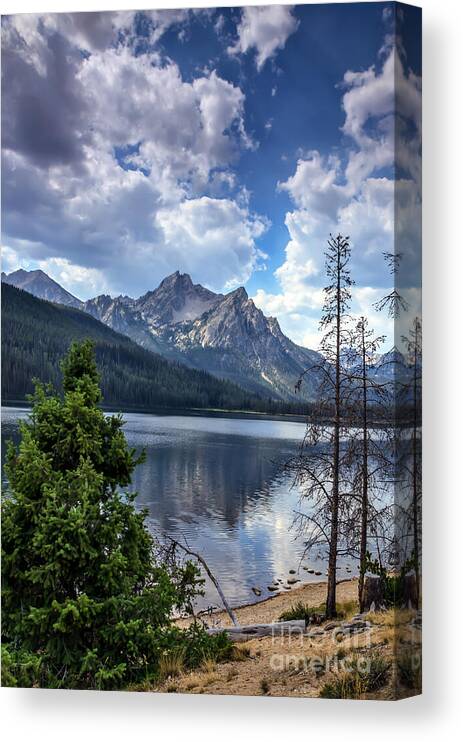 Rocky Mountains Canvas Print featuring the photograph Stanley Lake View by Robert Bales