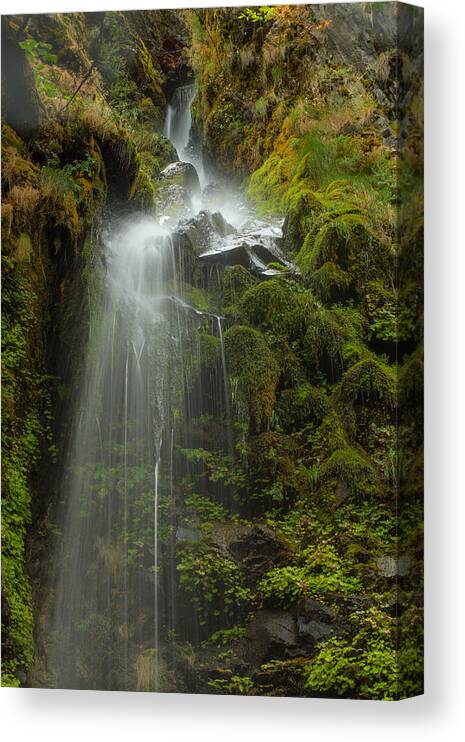 Water Canvas Print featuring the photograph Starvation but not Dehdration by Jean Noren