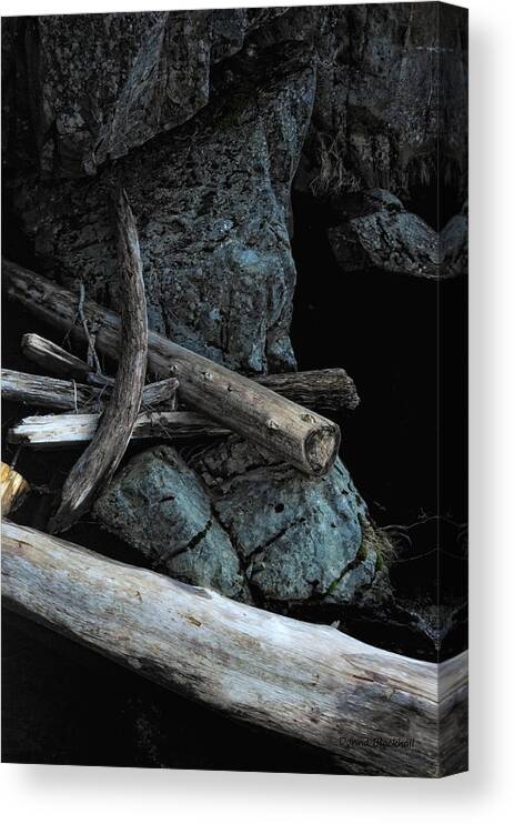 Sticks Canvas Print featuring the photograph Sticks And Stones by Donna Blackhall