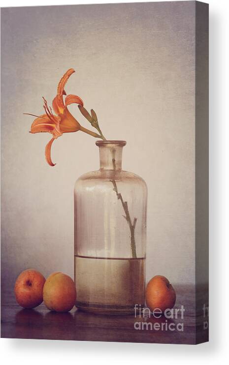 Still Life Canvas Print featuring the photograph Still life with apricots by Diana Kraleva