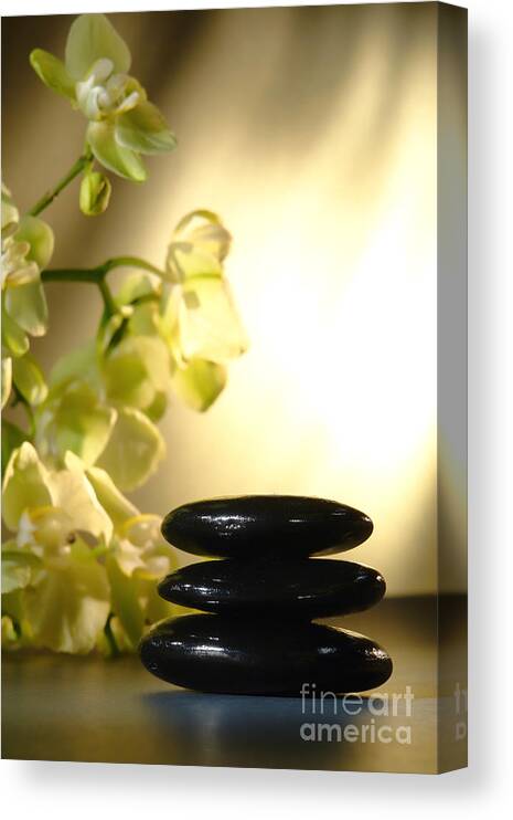 Orchid Canvas Print featuring the photograph Stone Cairn and Orchids by Olivier Le Queinec