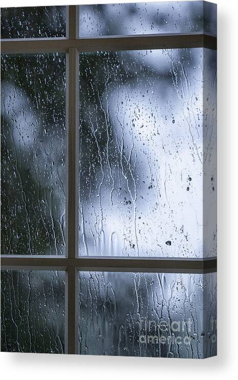 Window; Mullions; Paint; Painted; Rural; Trees; Country; Green; Blue; Teal; Rain; Raining; Rainy; Architecture; View; Protection; Dark; Darkness; Mysterious; Mystery; Crime; Thriller; Foreboding; Shadows; Serene; Inside; Indoors; Safe; Safety; Storm; Stormy; Storming; Pane; Multiple Canvas Print featuring the photograph Stormy Night by Margie Hurwich