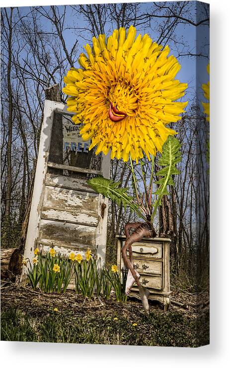 Dandalion Canvas Print featuring the photograph Story Time by Nancy Strahinic