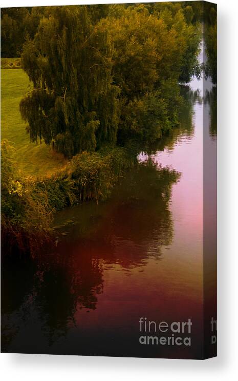 Tree Canvas Print featuring the photograph Summertime by Margie Hurwich