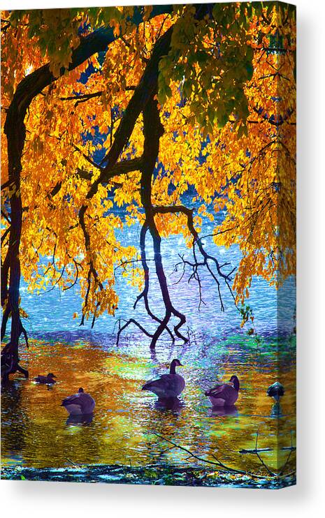 Birds Canvas Print featuring the photograph Sunny by Kathy Besthorn