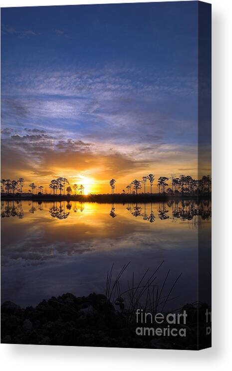 Babcock Web Wildlife Management Area Canvas Print featuring the photograph Sunrise at Bacbcock Web 3 by Jane Axman