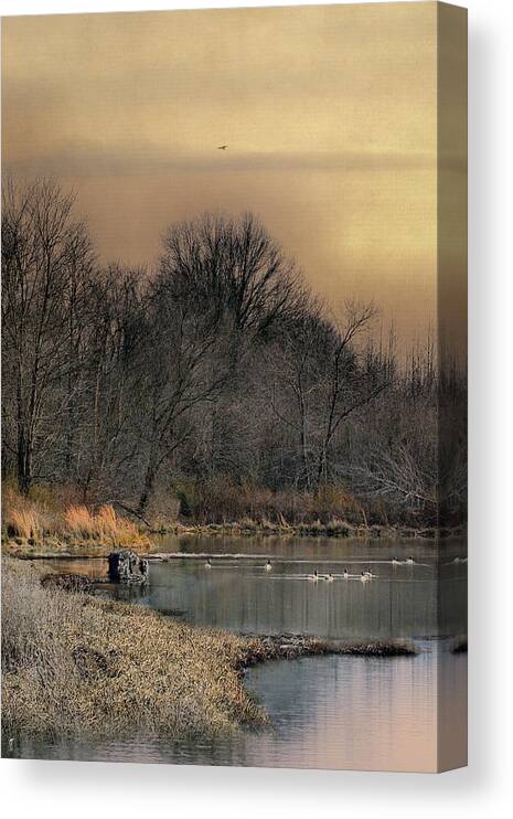 Duck Canvas Print featuring the photograph Sunrise At The Blind by Jai Johnson
