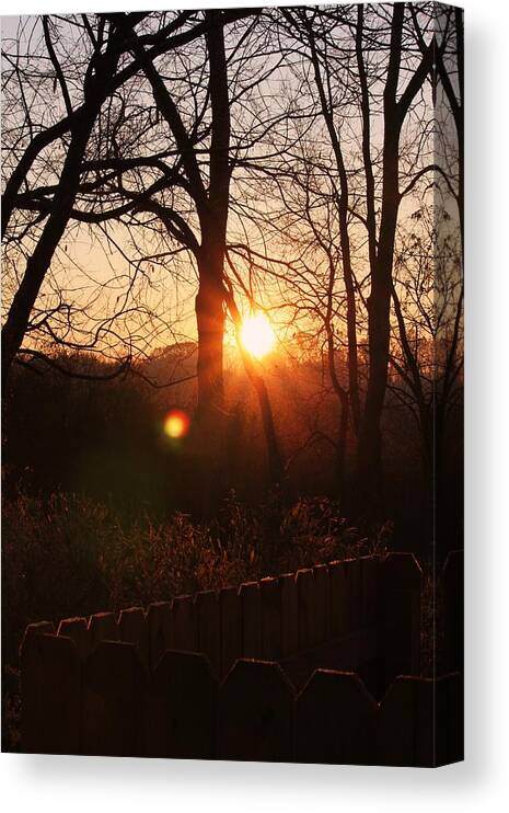 Sunrise Canvas Print featuring the photograph Sunrise in Hocking Hills by Haren Images- Kriss Haren