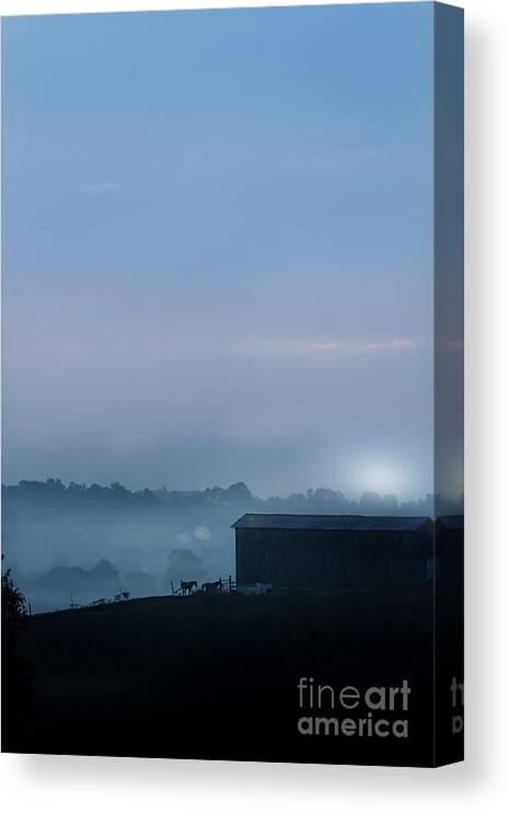 Animal Canvas Print featuring the photograph Sunrise in Kentucky by Stephanie Frey