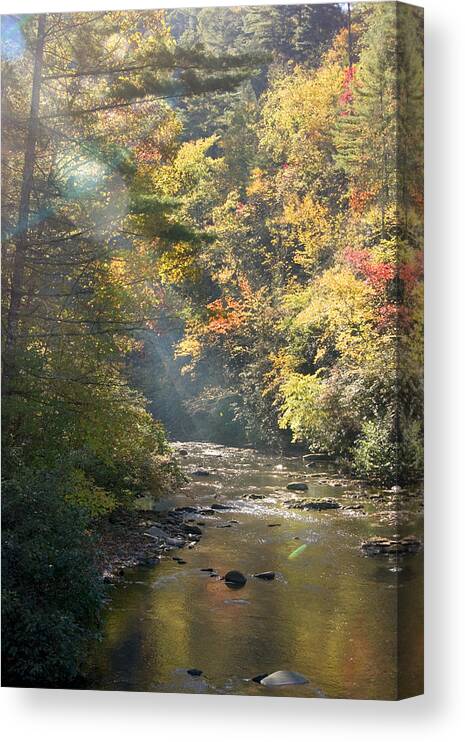 Fall Foliage Canvas Print featuring the photograph Sunrise on the Telico River by Robert Camp