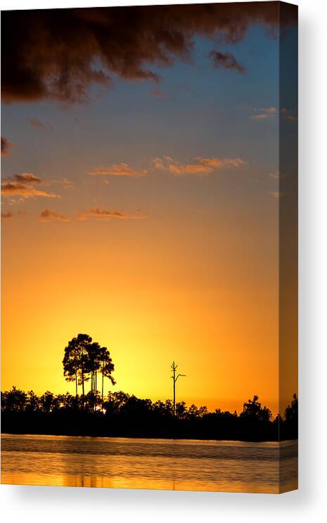 Back-lighting Canvas Print featuring the photograph Sunset at Long Pine Key Vertical by Andres Leon