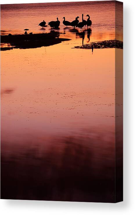 Marsala Art Canvas Print featuring the photograph Sunset Discourse- Gorton Pond Warwick Rhode Island by Lourry Legarde