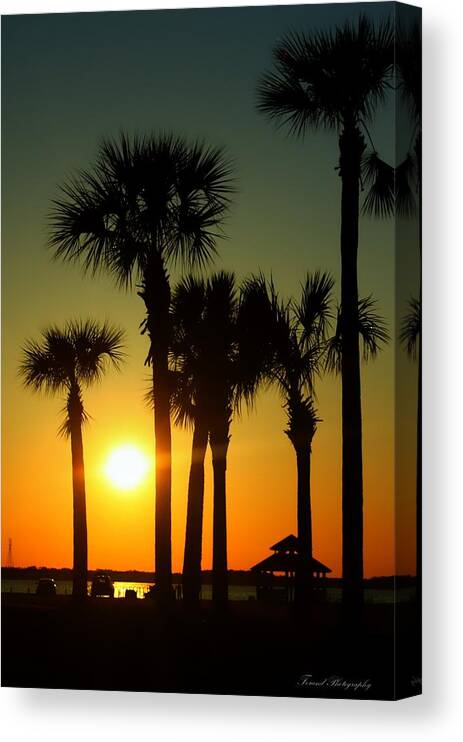 Sunset Canvas Print featuring the photograph Sunset over West Bay by Debra Forand