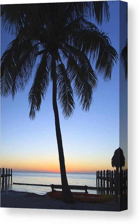 Bayshore Canvas Print featuring the photograph Sunset Palm by Raul Rodriguez