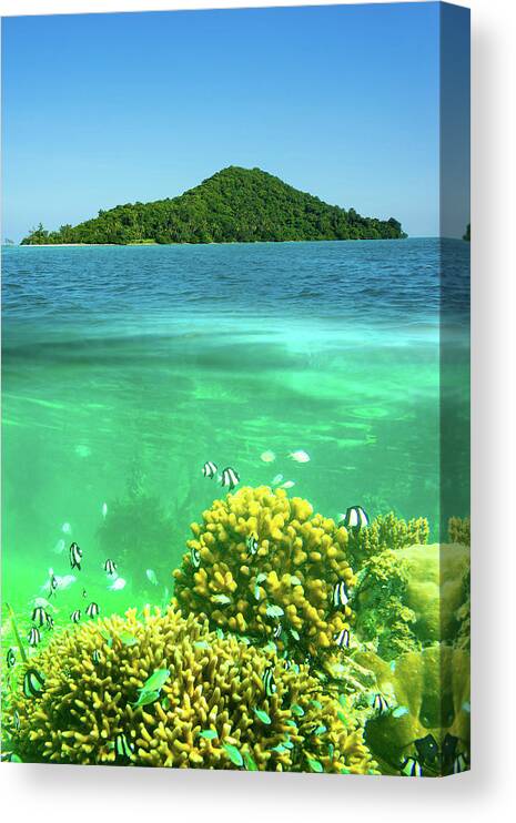 Scenics Canvas Print featuring the photograph Surface And Underwater View by The Best Pictures Come From A Sincere Heart