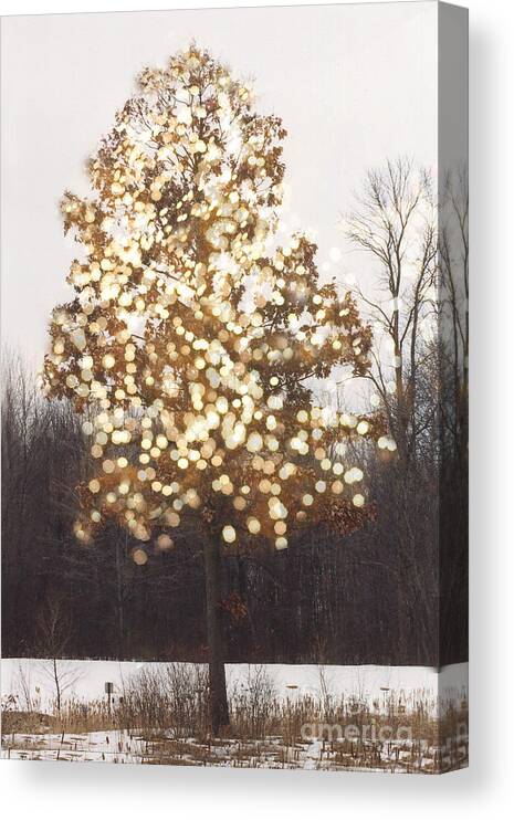 Beautiful Nature Photos Canvas Print featuring the photograph Surreal Fantasy Tree Nature Sparkling Lights by Kathy Fornal