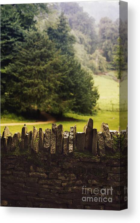 Stone Canvas Print featuring the photograph Surrounding the Pasture by Margie Hurwich