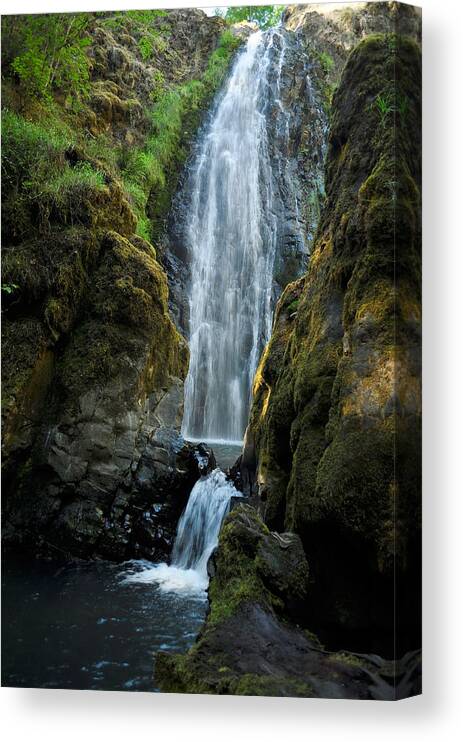 Water Canvas Print featuring the photograph Susan Creek Falls Series 11 by Teri Schuster