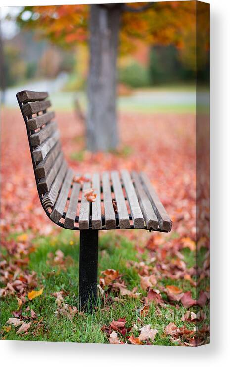 Autumn Canvas Print featuring the photograph Take a seat by Edward Fielding