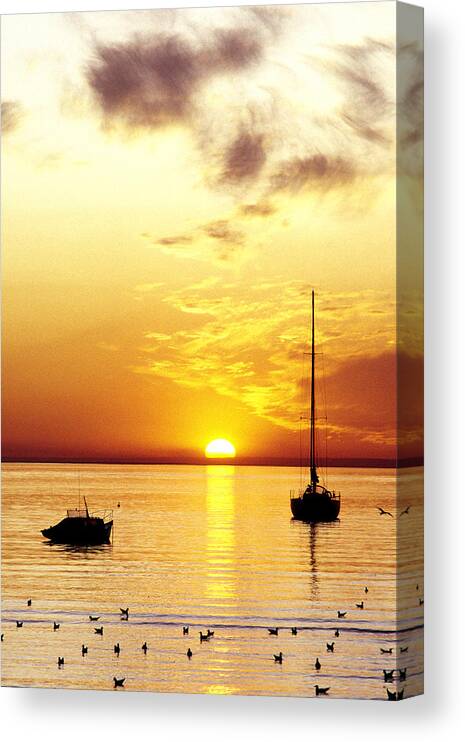 Sunset Canvas Print featuring the photograph That Sky by Anthony Davey