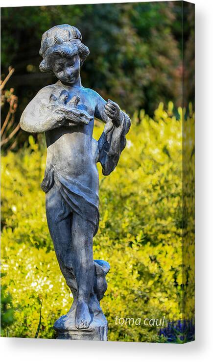 Statue Canvas Print featuring the photograph The Caretaker by Toma Caul