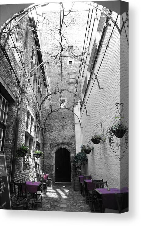 Antwerp Canvas Print featuring the photograph The Color Purple by Richard Gehlbach