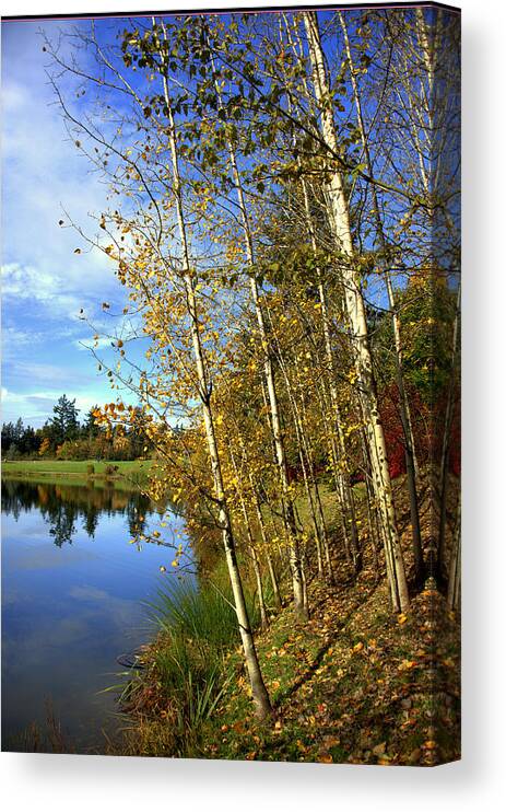 Fall Canvas Print featuring the photograph The End of the Season by Jerry Cahill