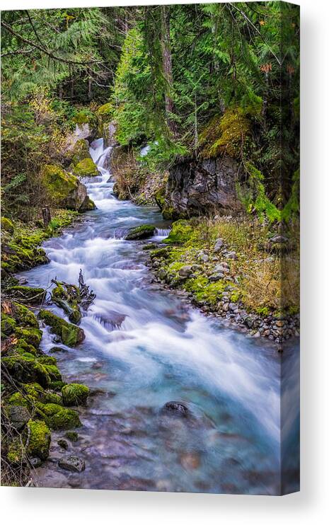 Creek Canvas Print featuring the photograph The Gorge Creek Waterfall by Ken Stanback