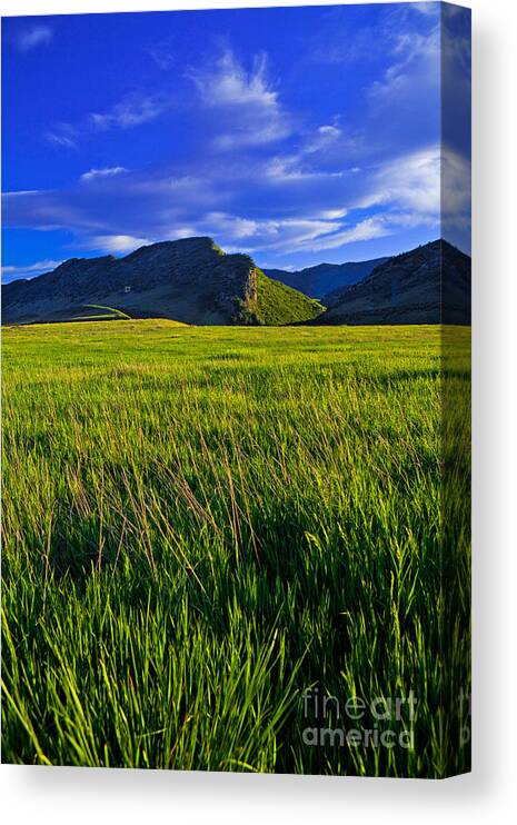 Rocky Mountains Canvas Print featuring the photograph The Hogbacks by Barbara Schultheis