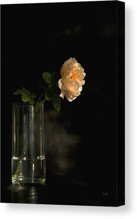 English Roses Canvas Print featuring the photograph The Last Rose Of Summer by Theresa Tahara