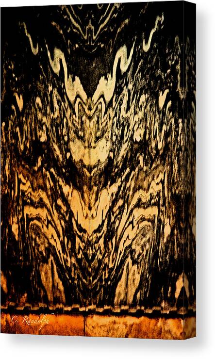 Marble Pattern Canvas Print featuring the photograph The Power of Suggestion by Cheri Randolph