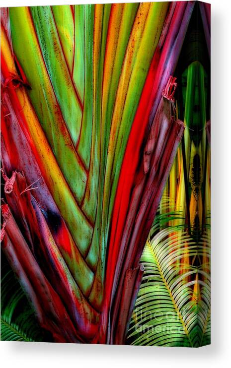 Jungle Photography Canvas Print featuring the photograph The Red Jungle by Joseph J Stevens