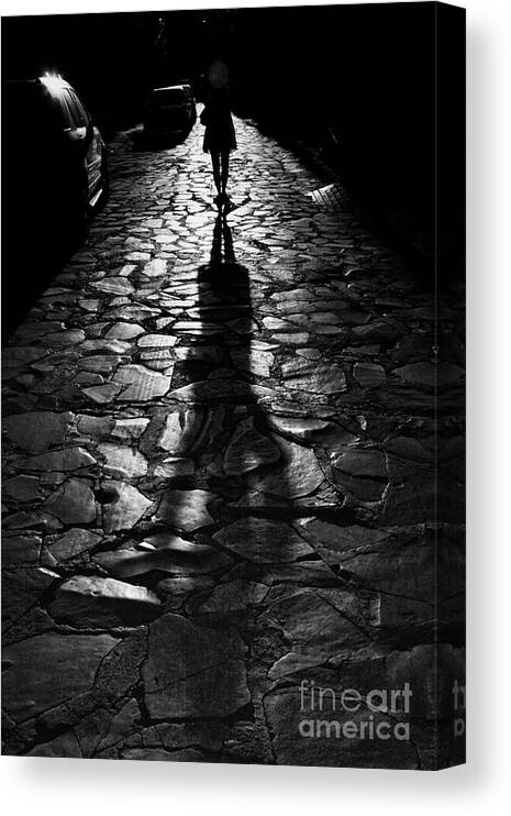 Shadow Canvas Print featuring the photograph The Shadow by Nicola Fiscarelli