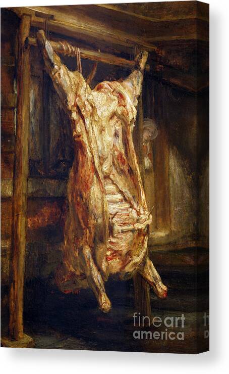 Rembrandt Canvas Print featuring the painting The Slaughtered Ox by Rembrandt Harmenszoon van Rijn
