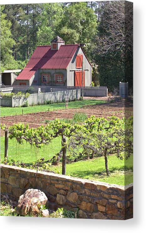 8316 Canvas Print featuring the photograph The Vineyard Barn by Gordon Elwell