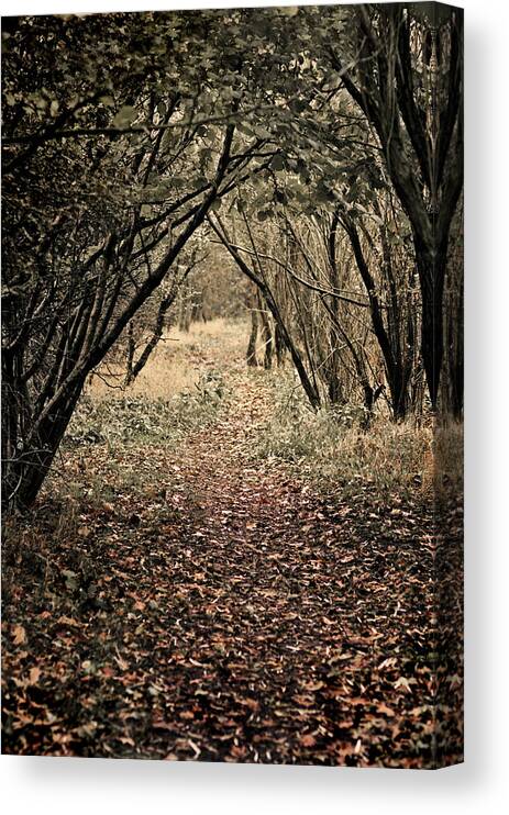 Footpath Canvas Print featuring the photograph The Walk by Meirion Matthias