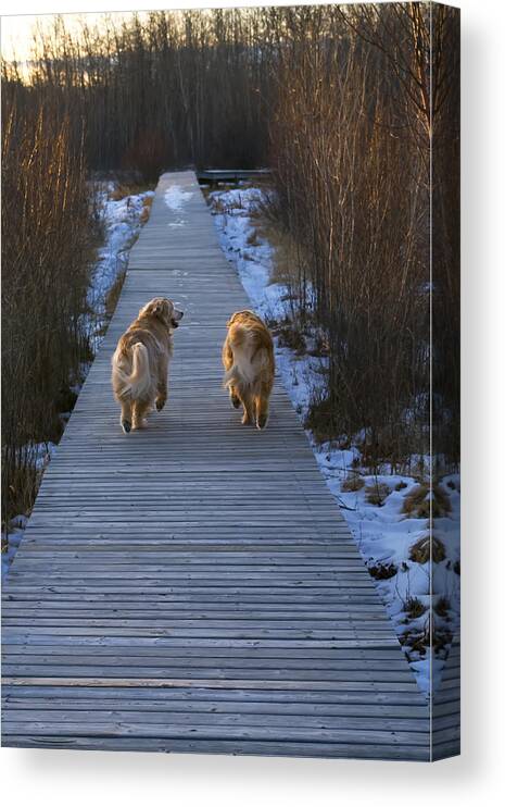 Landscape Canvas Print featuring the photograph This Has Been a Good Day by Rhonda McDougall