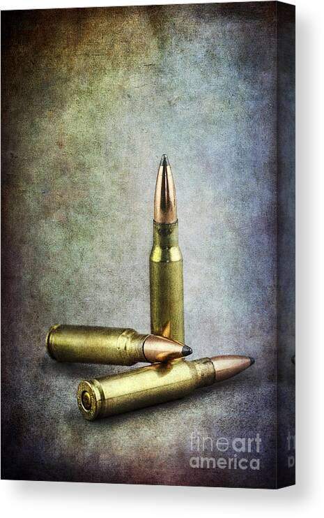 Ammo Canvas Print featuring the photograph Three Chances by Stephanie Frey