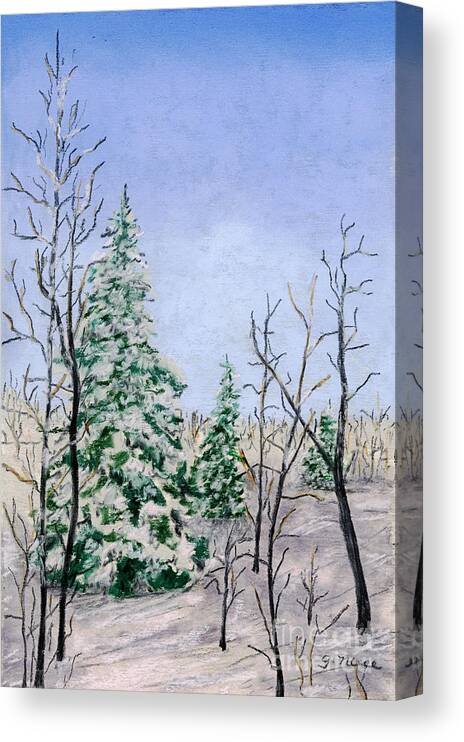Winter Canvas Print featuring the pastel Three Winter Evergreens by Ginny Neece