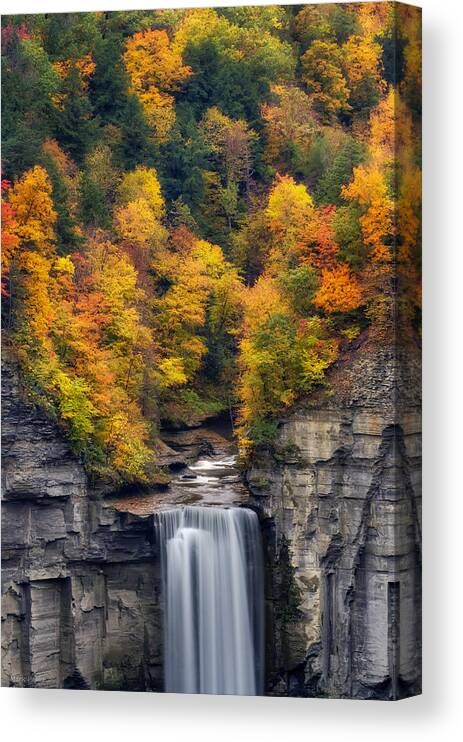 Taughannock Falls Canvas Print featuring the photograph Top of the falls by Mark Papke